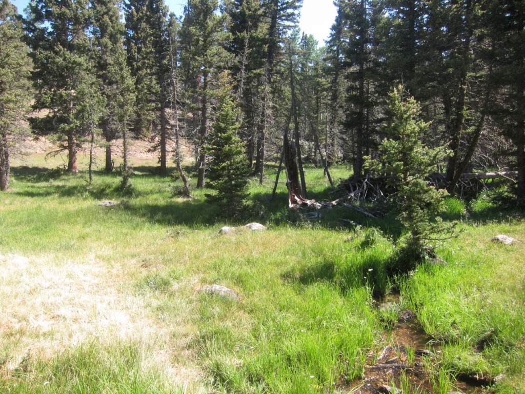 Buck Creek, Philmont Scout Ranch, New Mexico