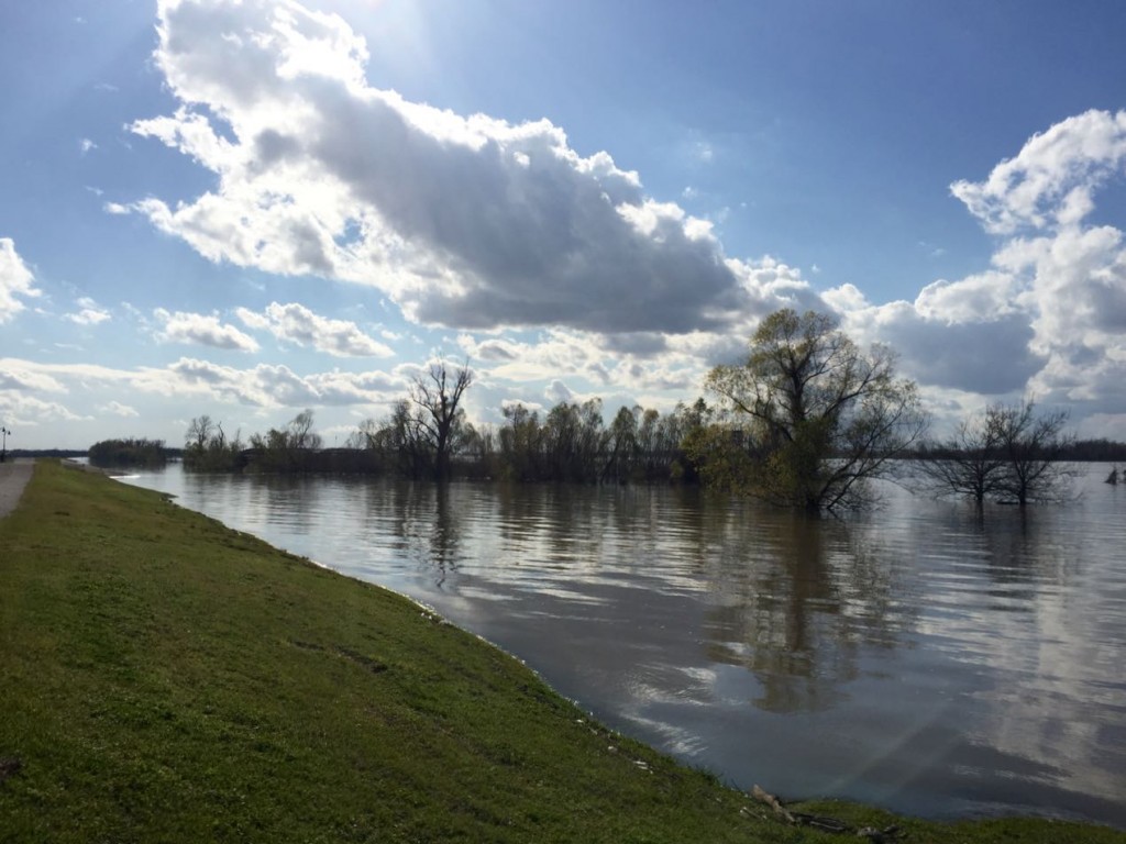 Mississippi River at Baton Rouge, January 20 2016