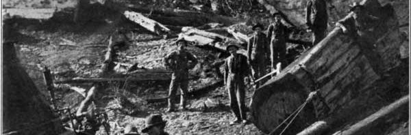 W. T. Fitch - Redwood Loggers at Pudding Creek