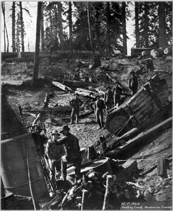 W. T. Fitch - Redwood Loggers at Pudding Creek