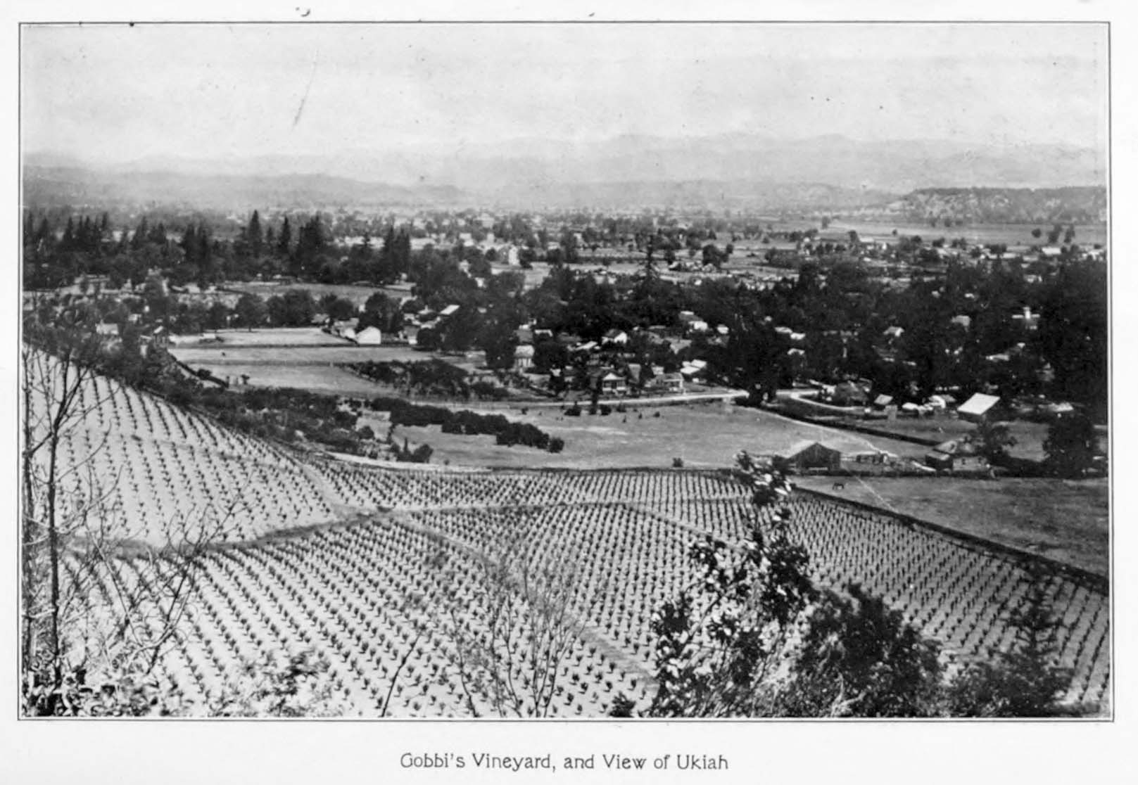 View of Ukiah, California in 1913