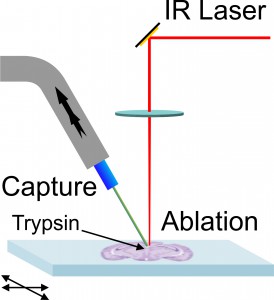 Laser Ablation with Vacuum Capture for MALDI Mass Spectrometry of Tissue