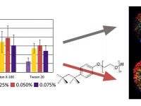 Systematic assessment of surfactants for matrix-assisted laser desorption/ionization mass spectrometry imaging