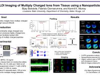 ASMS 2018: MALDI Imaging of Multiply Charged Ions from Tissue using a Nanoparticle Co-matrix