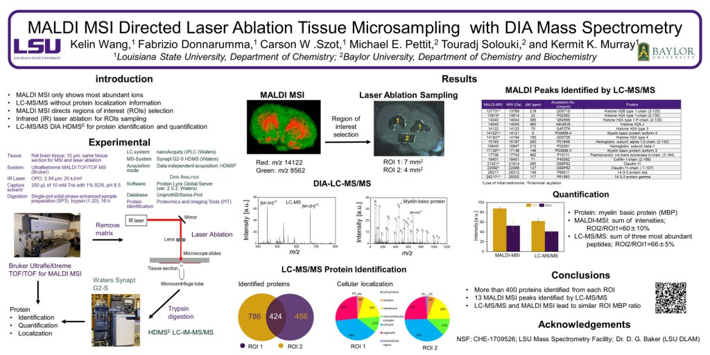 ThP 342: MALDI MSI Directed Laser Ablation Tissue Microsampling with DIA Mass Spectrometry