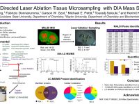 ASMS 2018: MALDI MSI Directed Laser Ablation Tissue Microsampling with DIA Mass Spectrometry