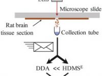 Infrared laser ablation sampling coupled with data independent high resolution UPLC-IM-MS/MS for tissue analysis