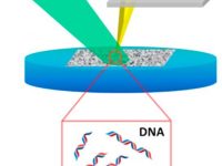 Tip-enhanced laser ablation and capture of DNA