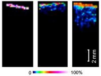 ASMS 2018: MALDI Imaging and Laser Ablation Sampling for Analysis of Fungicide Distribution in Apples