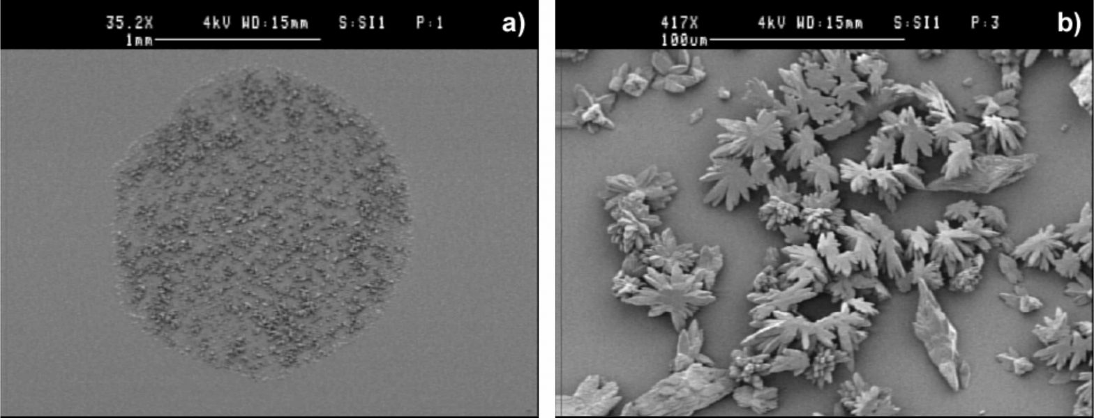 SEM images of MALDI sample spots on a silicon target (detail)