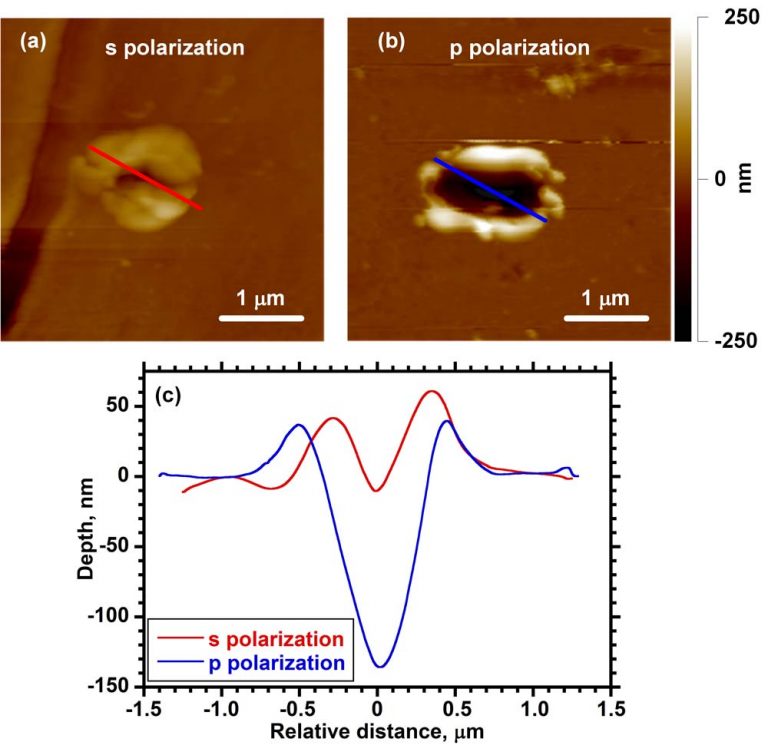 TELA Sample Transfer for MS - Polarization