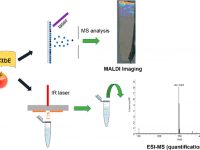 Matrix-Assisted Laser Desorption Ionization Imaging and Laser Ablation Sampling for Analysis of Fungicide Distribution in Apples