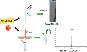 MALDI Imaging and Laser Ablation Sampling for Analysis of Fungicide Distribution in Apples