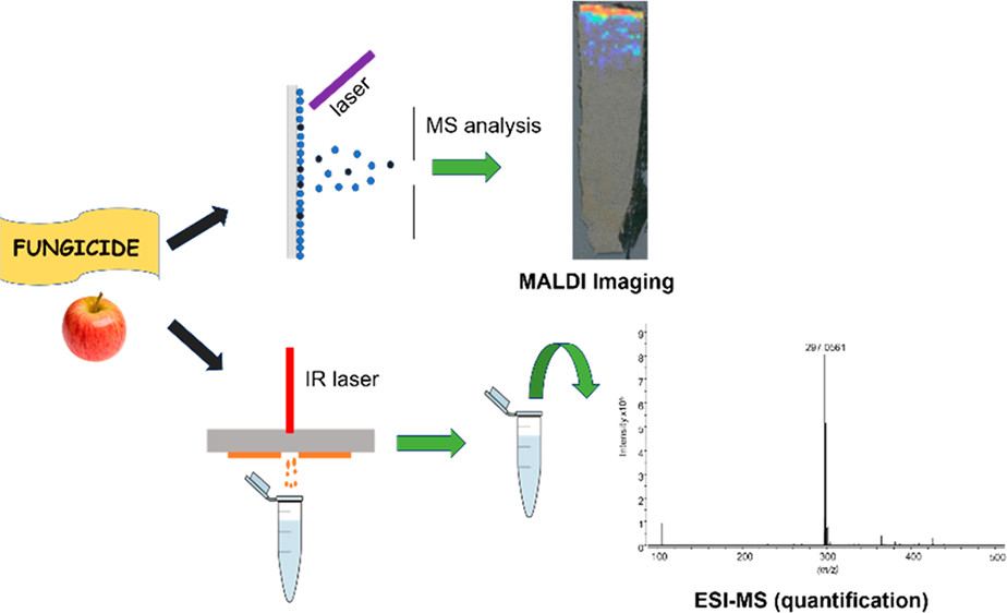 MALDI Imaging and Laser Ablation Sampling for Analysis of Fungicide Distribution in Apples