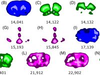 MALDI imaging directed laser ablation tissue microsampling for data independent acquisition proteomics