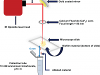 Spatially resolved analysis of Pseudomonas aeruginosa biofilm proteomes measured by laser ablation sample transfer