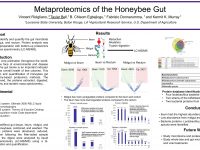 ASMS 2022: Metaproteomics of the Honeybee Gut