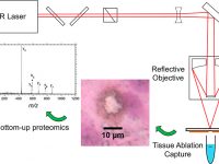 Infrared Laser Ablation Microsampling with a Reflective Objective