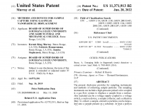 United States patent 11,371,913 Methods And Devices for Sample Capture Using Gas-Pulse Nanoparticle Displacement