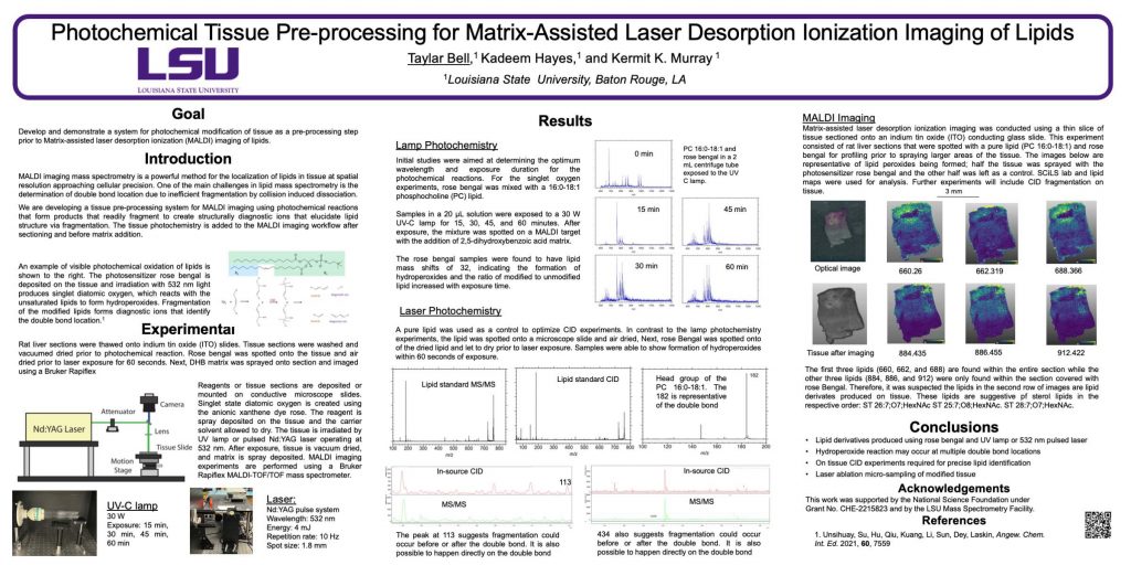 TP 382 Photochemical Tissue Pre-processing for Matrix-Assisted Laser Desorption Ionization Imaging of Lipids