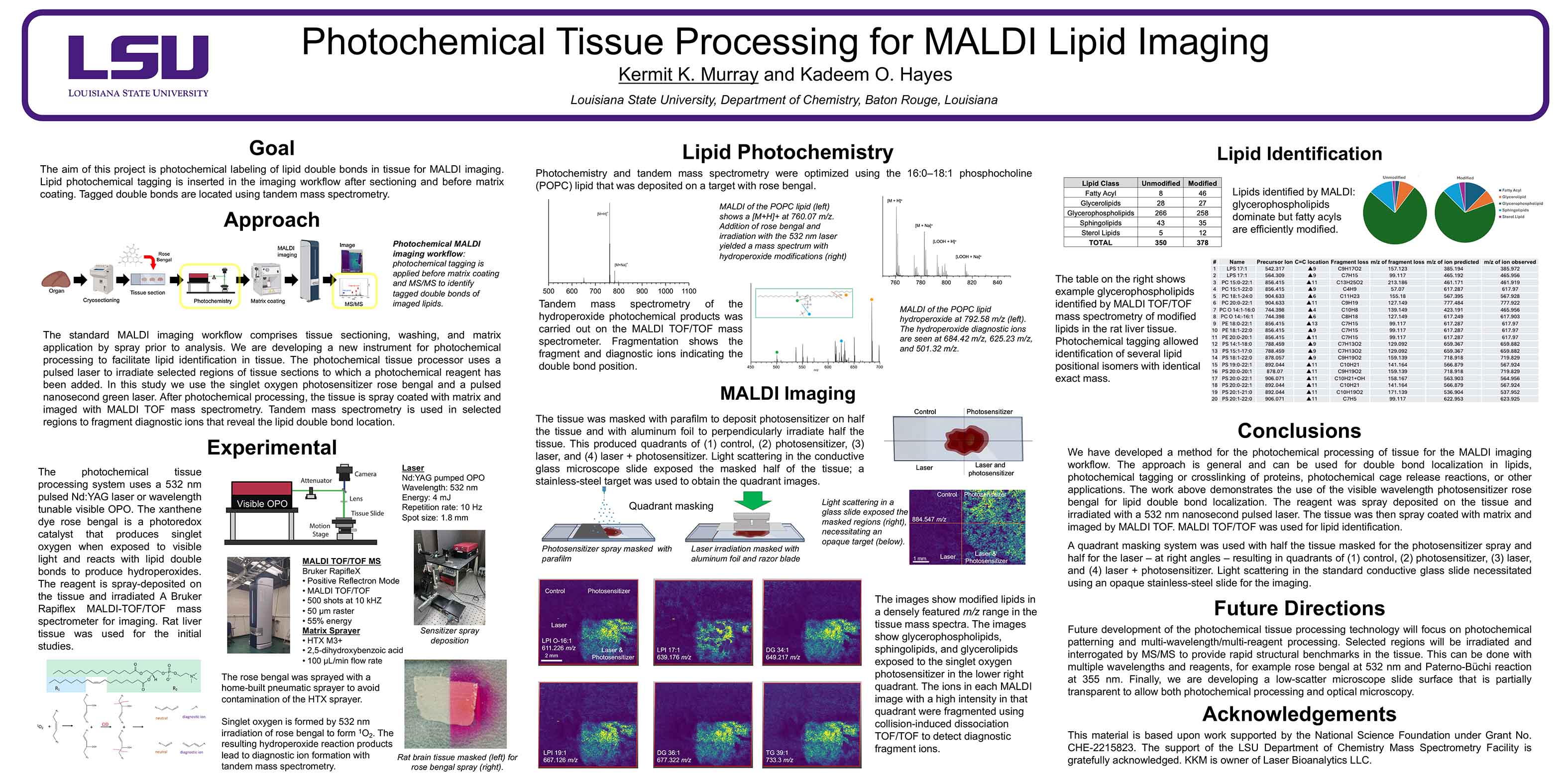 Photochemical Tissue Processing for MALDI Lipid Imaging